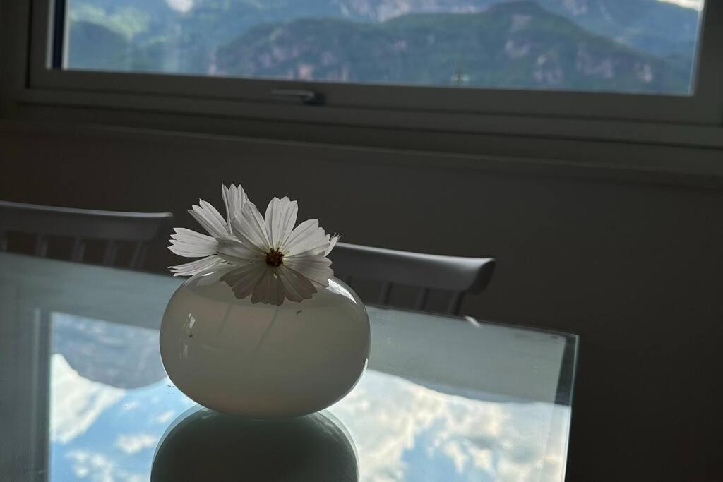 Haus Hafner Sonniges Apartment Terlano Luaran gambar
