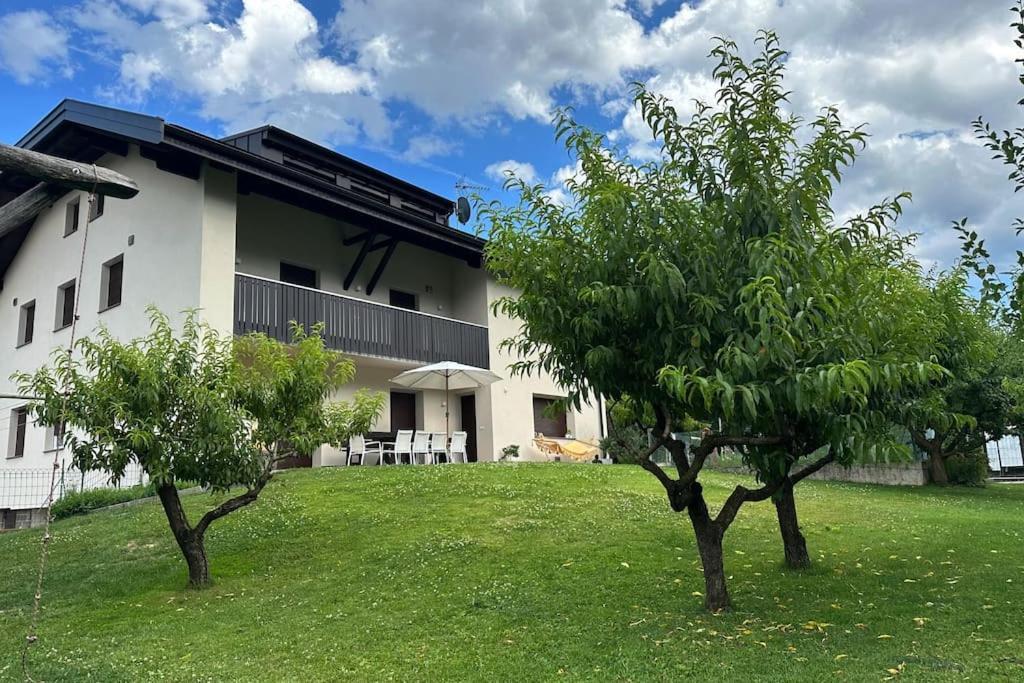 Haus Hafner Sonniges Apartment Terlano Luaran gambar